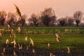 Sunset on ZuÃÂ Ã¢â¬Å¡awy Wislane in Poland, beautiful landscape